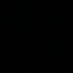 Meet your Posher, Sofia